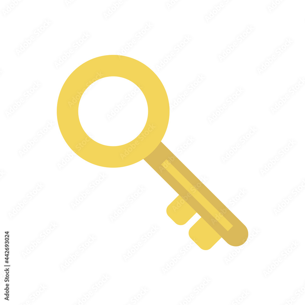Key icon vector graphic illustration