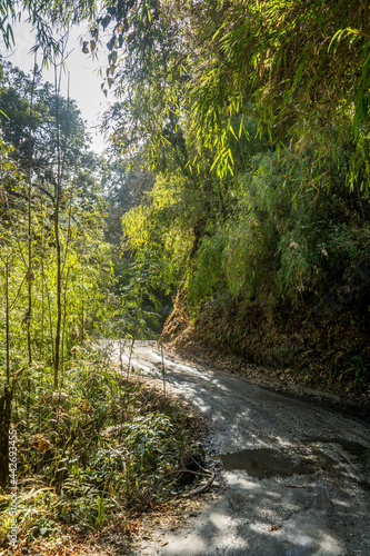 The beautiful road  Darjeeling   West Bengal  India