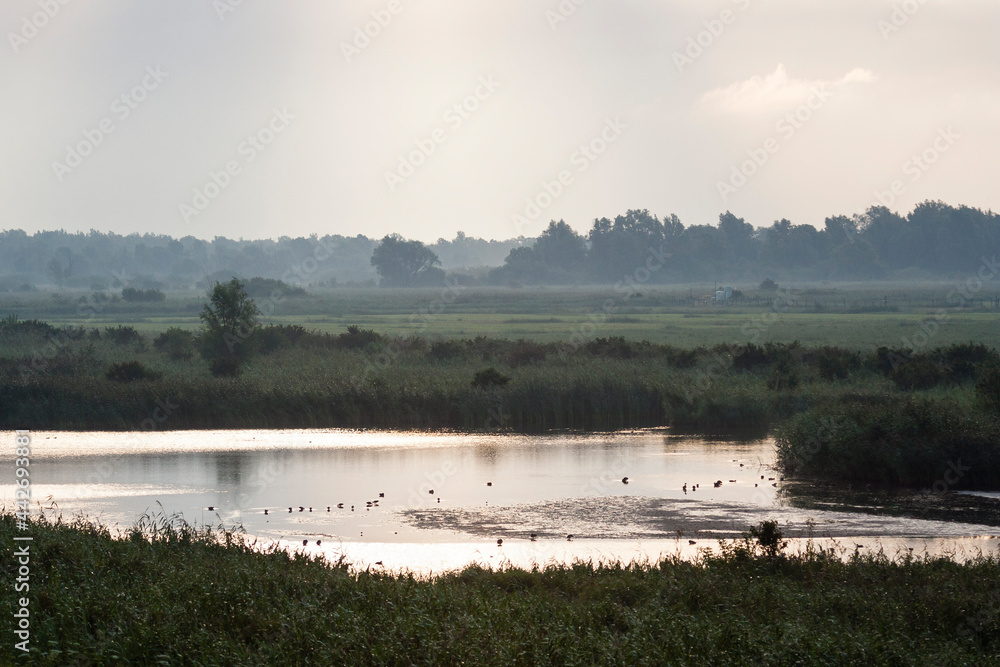 Uitzicht over Oostvaardersplassen, Overview of Oostvaardersplassen Uitzicht over Oostvaardersplassen, Overview of Oostvaardersplassen
