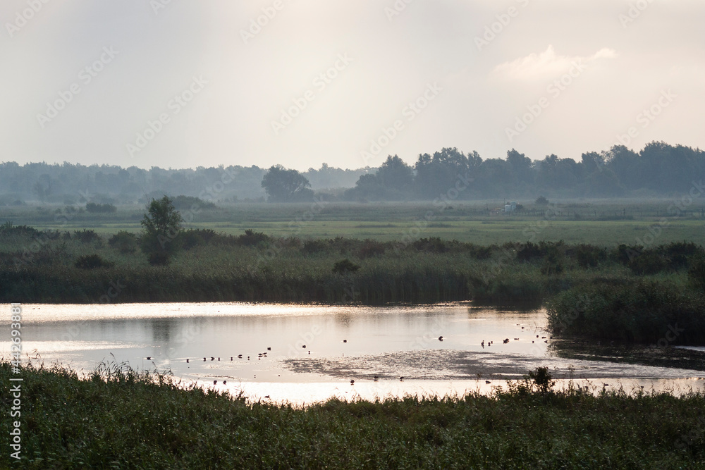 Uitzicht over Oostvaardersplassen, Overview of Oostvaardersplassen