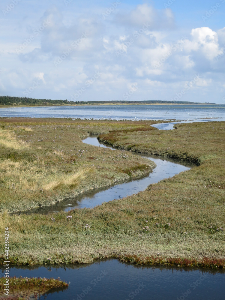 Obraz na plátně Kwelder, Saltmarsh