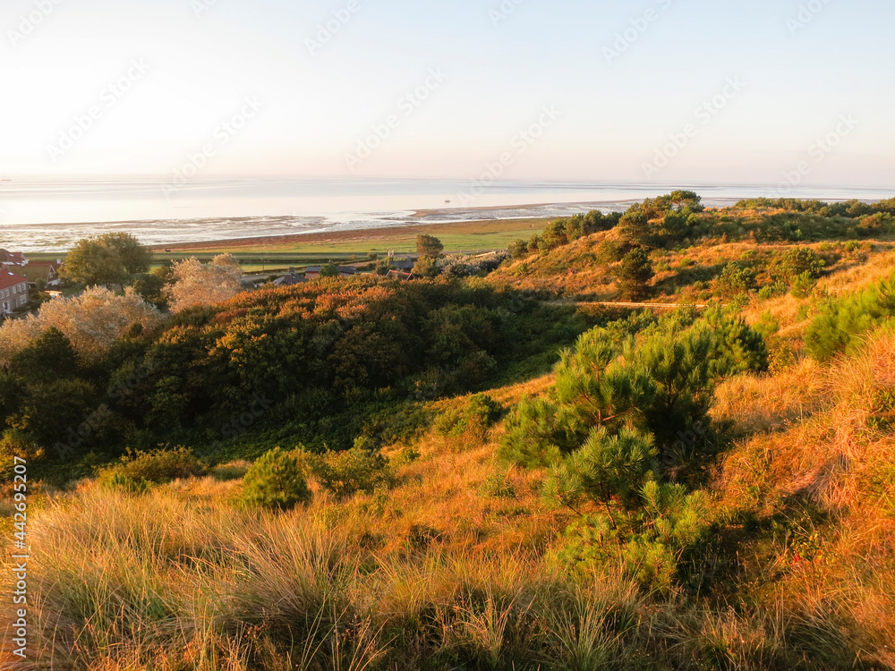 Duinen op Vlieland, Dunes at Vlieland