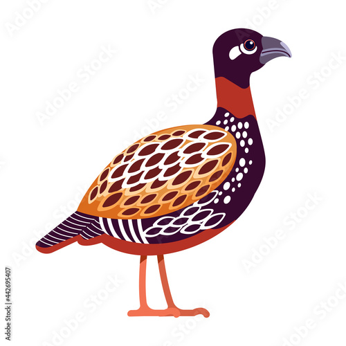 Black francolin or Black Partridge is a gamebird in the pheasant family Phasianidae of the order Galliformes, gallinaceous birds. Cartoon, flat character of ornithology, vector illustration isolated