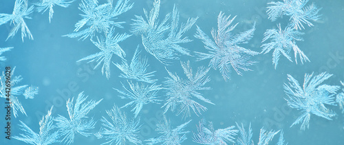 Macro shot of snowflakes on blue background © Anastassiya 