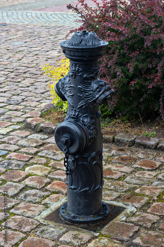 Vintage black German fire hydrant on a cobbled street near The Museum of the World Ocean in Kaliningrad. Beautiful metal hydrant with fish head shape decoration