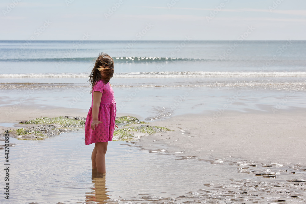 Hispanic girl in a puddle of water on the beach looking at the horizon with copy space for advertising
