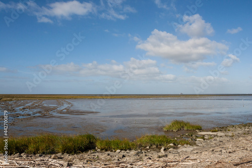 Landschap in Westhoek  Landscape in Westhoek