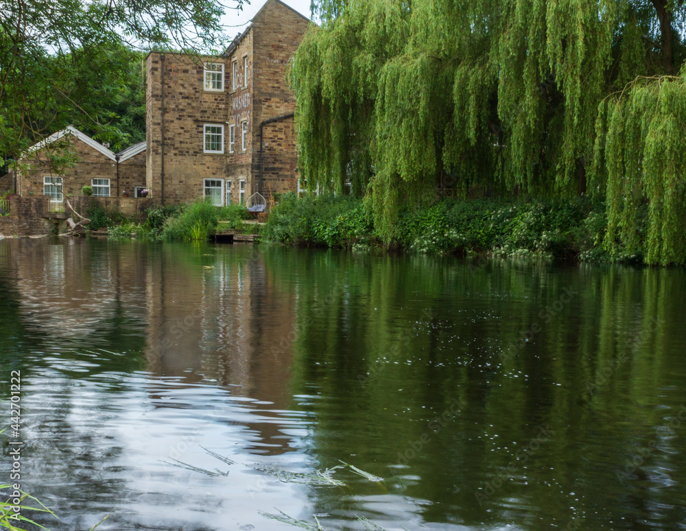 Hirst Mill and the nearby willow trees reflected in the waters of the River Aire in Hirst Wood