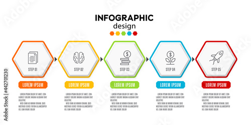 Vector timeline infographic line design template with hexagon 5 step fpr presentation.