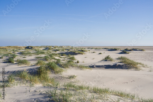 Duinen op Vlieland, Dunes at Vlieland