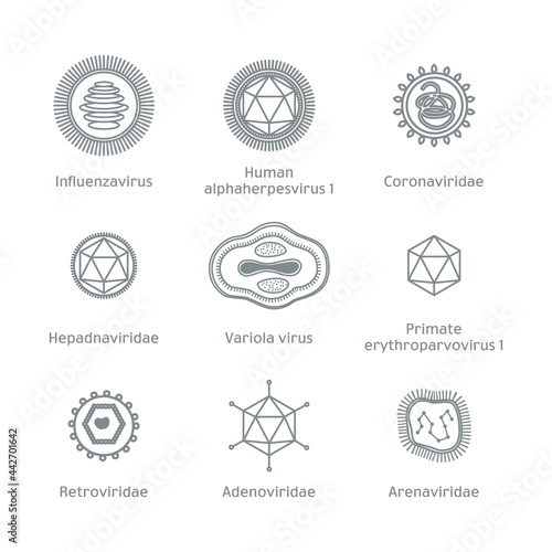 Viruses Collection in Flat Style, Microorganisms Disease Causing Objects. Different Types of Bacteria, Viruses, Coronavirus, Influenza, Retrovirus, Herpes.