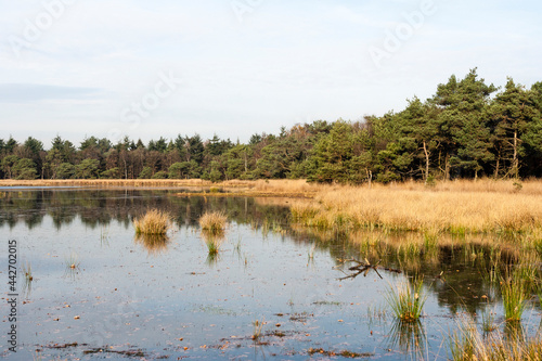 Waterplas in Het Gooi, Lake in Het Gooi
