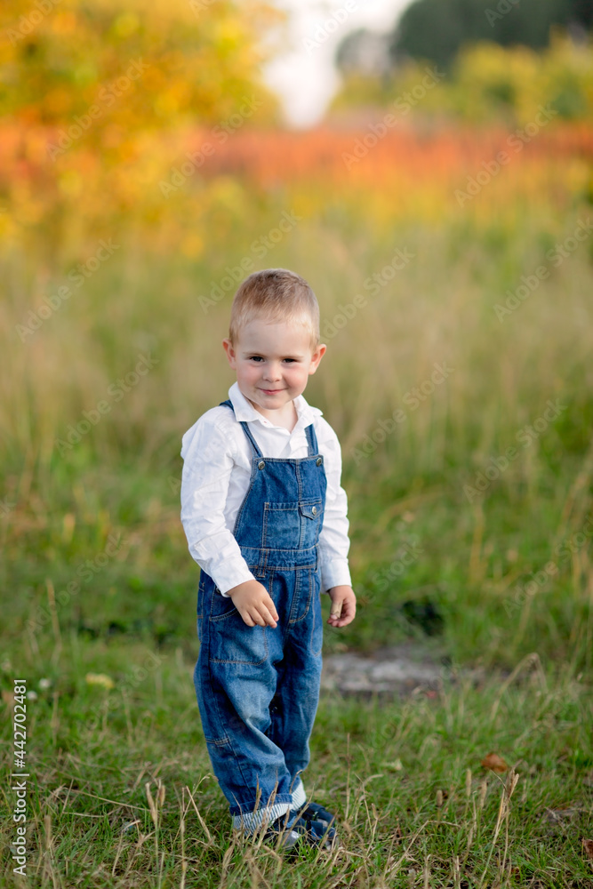 Beautiful American blond child son in a field with wheat ,. Summer on the farm, nature Beautiful American blond child son in a field with wheat ,. Summer on the farm, nature