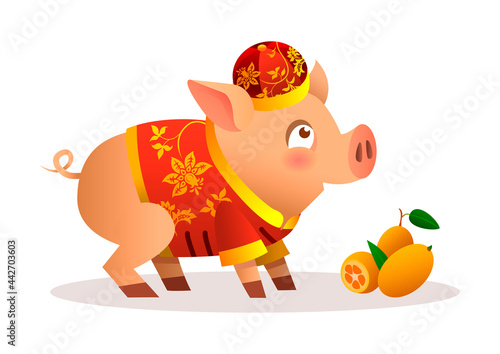 Chinese little pig cartoon character design with traditional chinese red costume and red hat. Ripe orange tangerines. Vector illustration isolated on white background. Zodiac of the Pig.