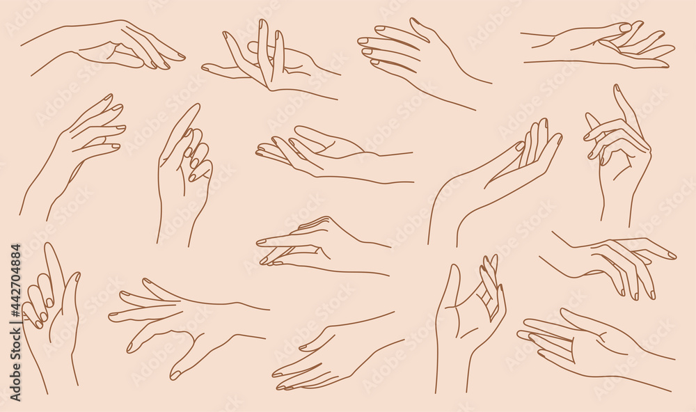 Set of delicate women's hand in trendy linear style. Female hands in ...