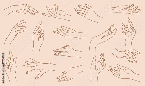 Set of delicate women's hand in trendy linear style. Female hands in various gestures. Vector linear boho icon illustrations. Branding.
