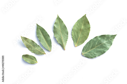 Group of dried bay leaves or laurel isolated on white