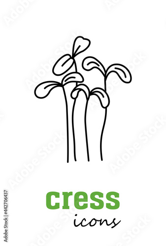Garden cress vector icon. Vegetable green leaves