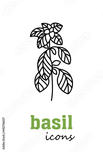 Basil vector flat icon. Vegetable green leaves