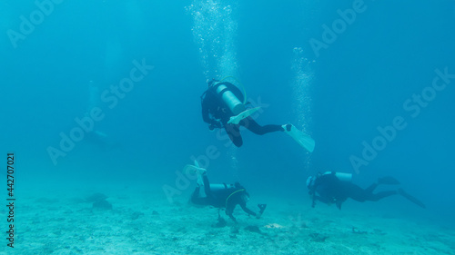 Underwater photographing, Silhouettes of divers in blue sea. Phuket. Thailand