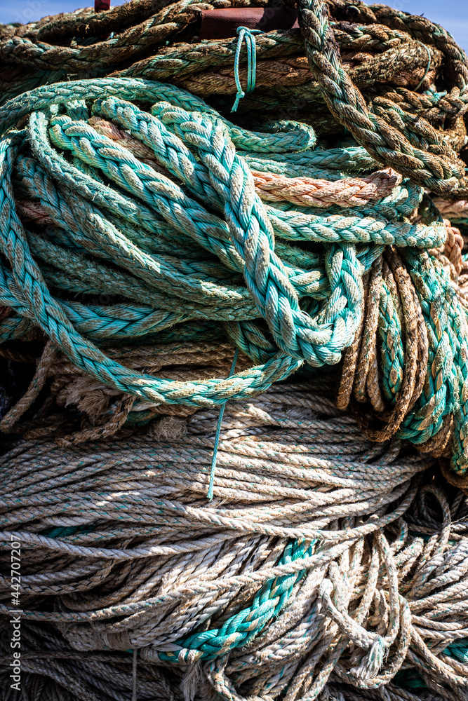 mooring rope in a harbour