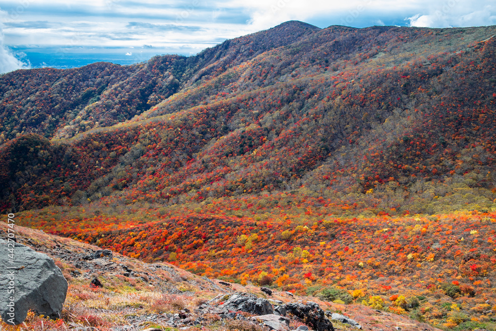 秋の茶臼岳　9合目の登山道から眺めた風景
【Beautiful autumnal leaves of Mt. Nasu】
