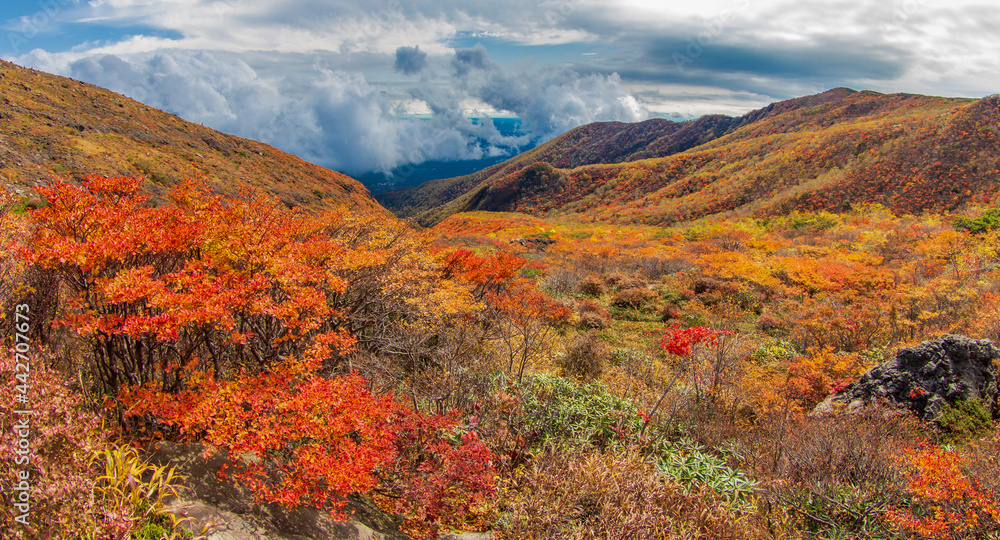 Plakat 秋の茶臼岳 9合目の登山道から眺めた風景 【Beautiful autumnal leaves of Mt. Nasu】