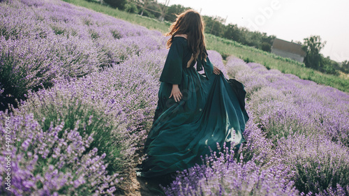 A girl in a long green dress in a blooming lavender field on a sunny day (ID: 442709674)