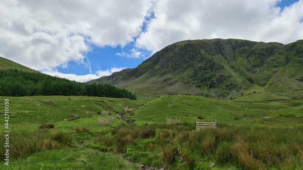 Fototapeta premium landscape with sky