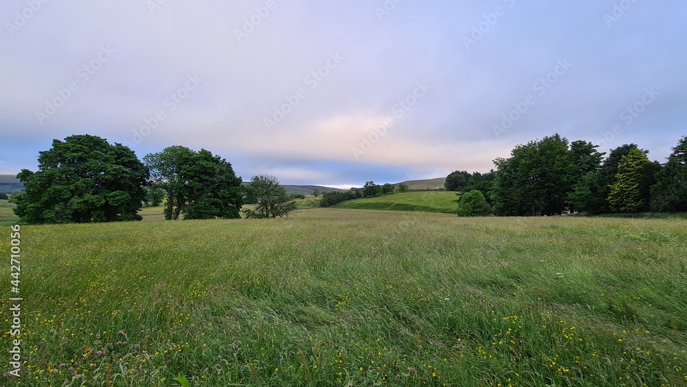 Obraz premium field and sky