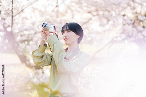 桜の写真を撮る女性