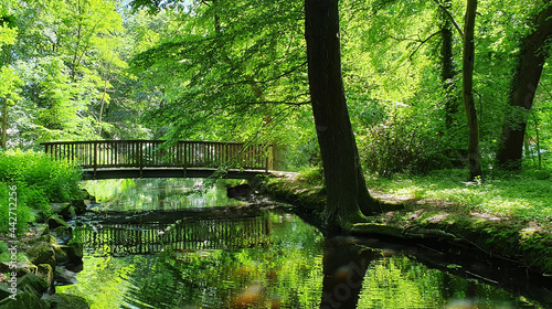Troisdorf Germany June 2021 Summer in the park with many green trees and a pond with water reflections in the sunshine