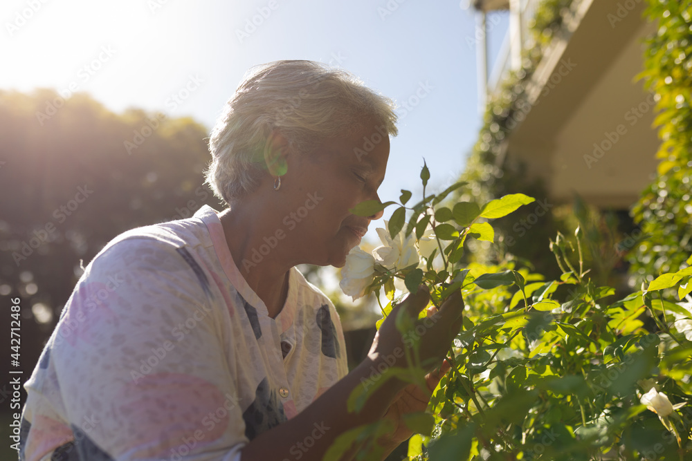 Senior african american woman smelling flowers in sunny garden Senior african american woman smelling flowers in sunny garden