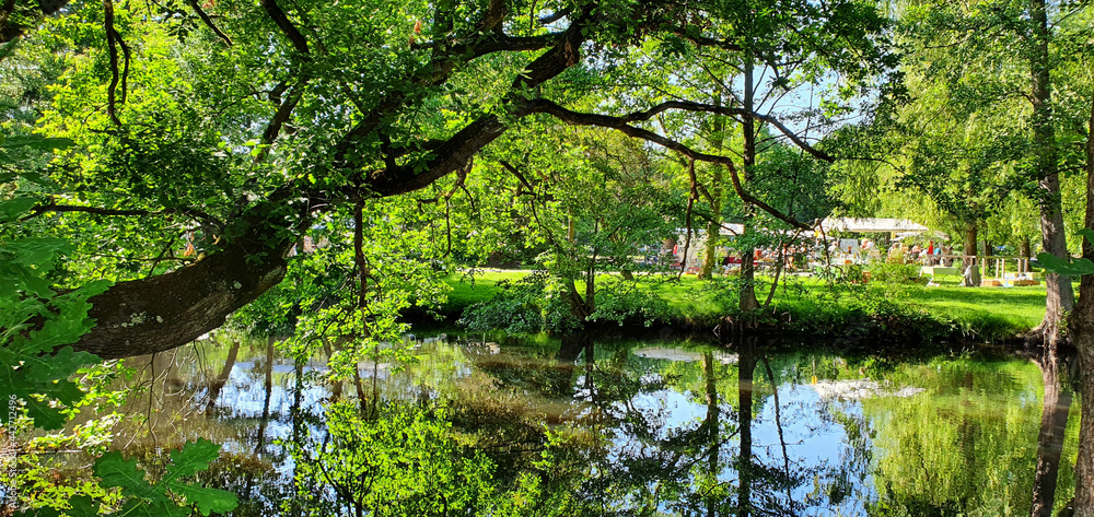 Fototapeta premium Troisdorf Germany June 2021 Summer in the park with many green trees and a pond with water reflections in the sunshine