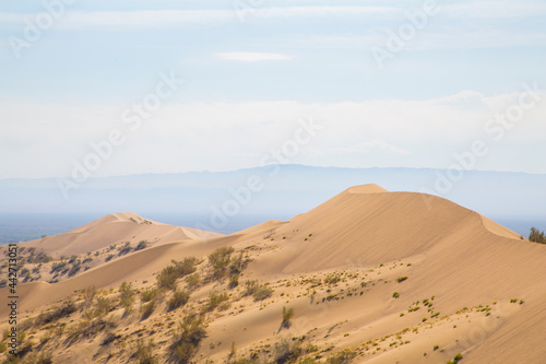 golden sand in the desert