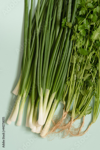 fresh green onions with coriander on an azure background