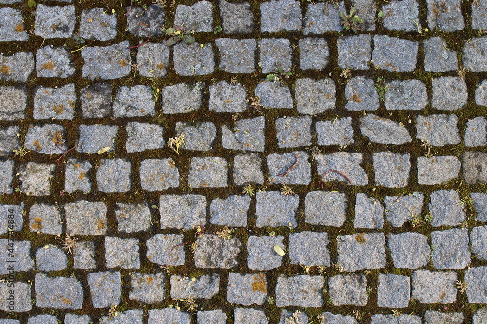 Fototapeta premium Cobblestone Ground with Moss Texture