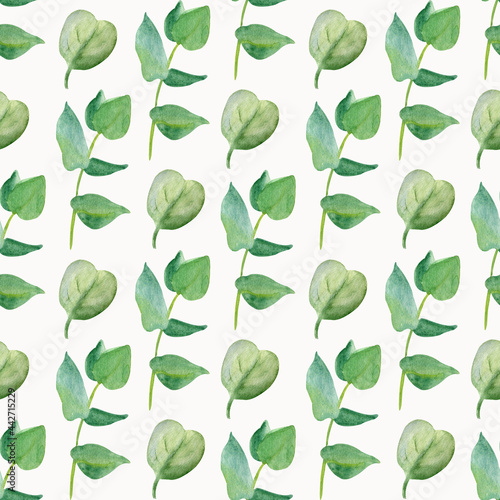Green leaves doodle hand drawn seamless patern. Herbal  floral  greenery  leaf foliage background.