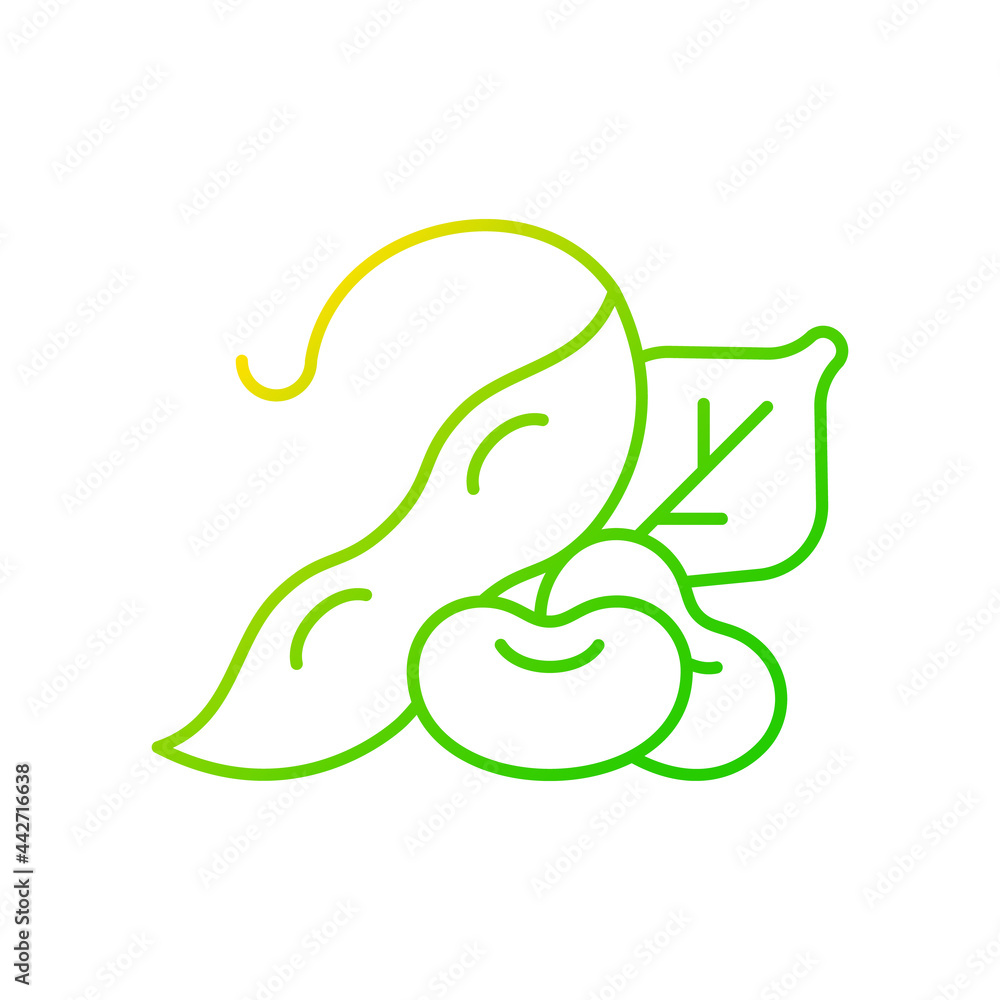 Edamame gradient linear vector icon. Natural vegetables. Versatile food crops. Plant based meals. Nutrition source. Thin line color symbols. Modern style pictogram. Vector isolated outline drawing