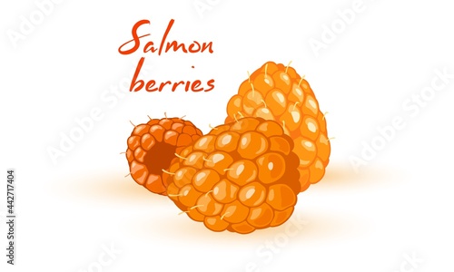 Bunch of small exotic berries, tropical cloudberry fruit. Vector healthy dietary eating, tasty summer snack, seasonal food, vegetarian design. Isolated on white background