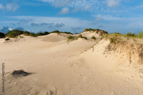 Dunes at the Zuidduinen