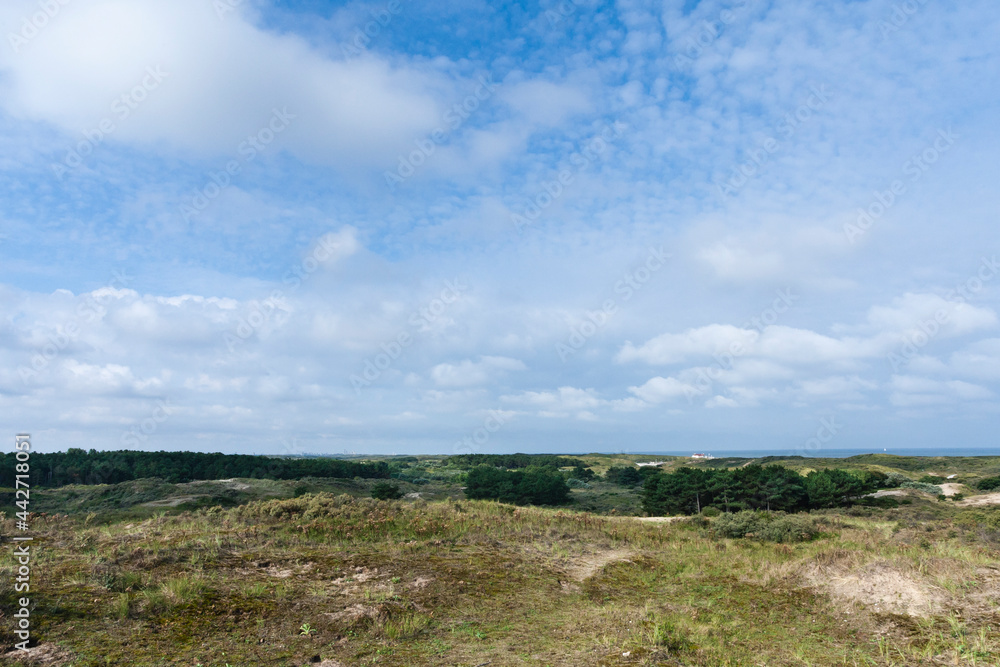 Landscape at the Zuidduinen Landscape at the Zuidduinen