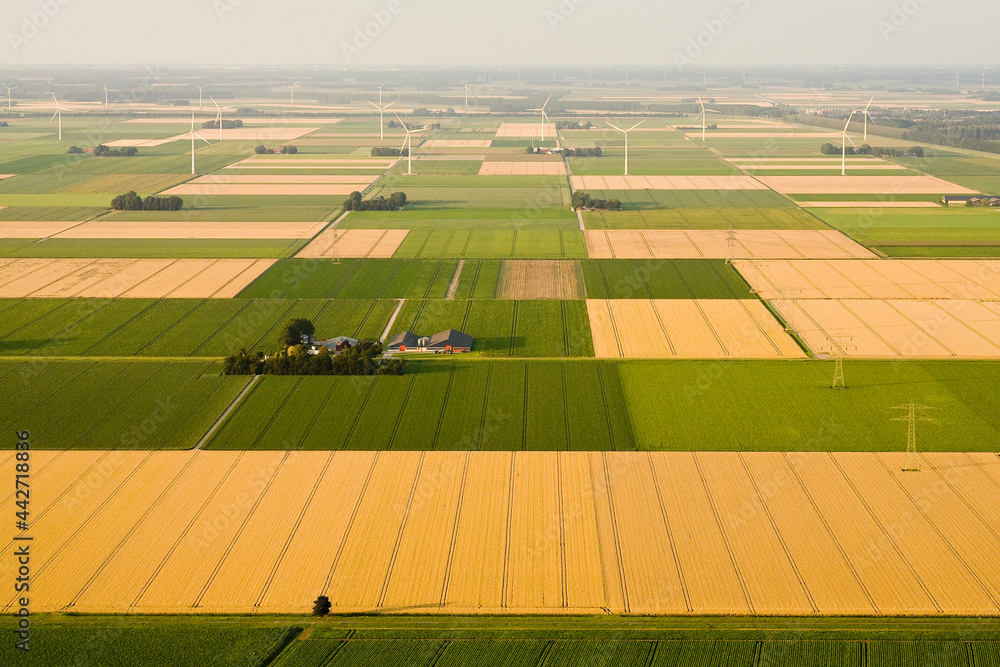 Obraz premium Landschap van Noord-Holland; Landscape of Noord-Holland