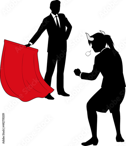 Bullfight