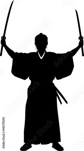 二刀流侍