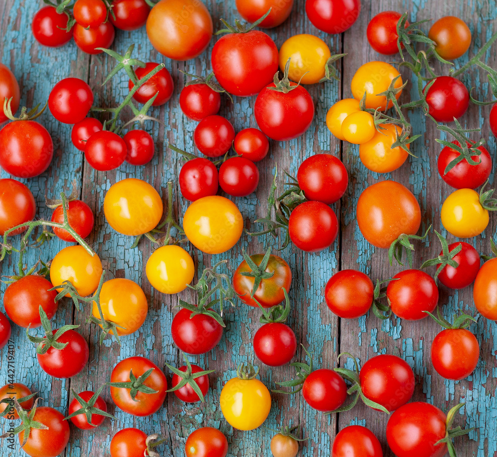 Multicolored tomatoes top view. Pattern of yellow, red and orange cherry tomatoes. Tomato summer harvest of vegetables