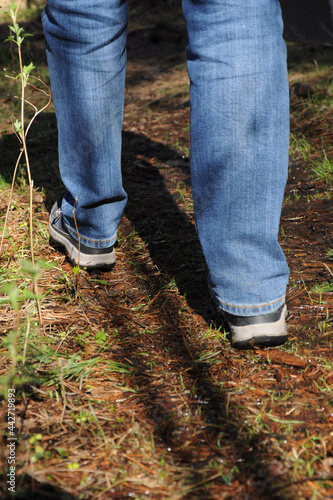 A man walks along a wet forest path. Man's legs in jeans. Sunny spring day in the forest. 