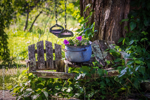 Old Sitting Place