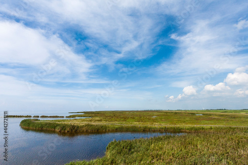 Landschap in Warkumerwaard; Landscape at Warkumerwaard photo