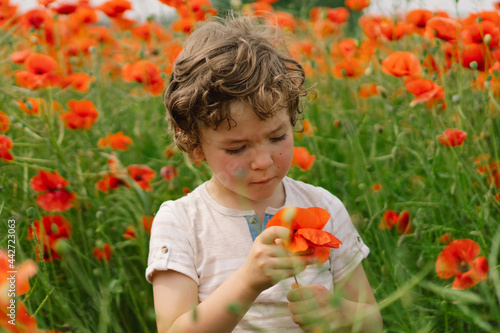 Little Boy plays in a beautiful field of red poppies. People and nature. © Анастасія Стягайло